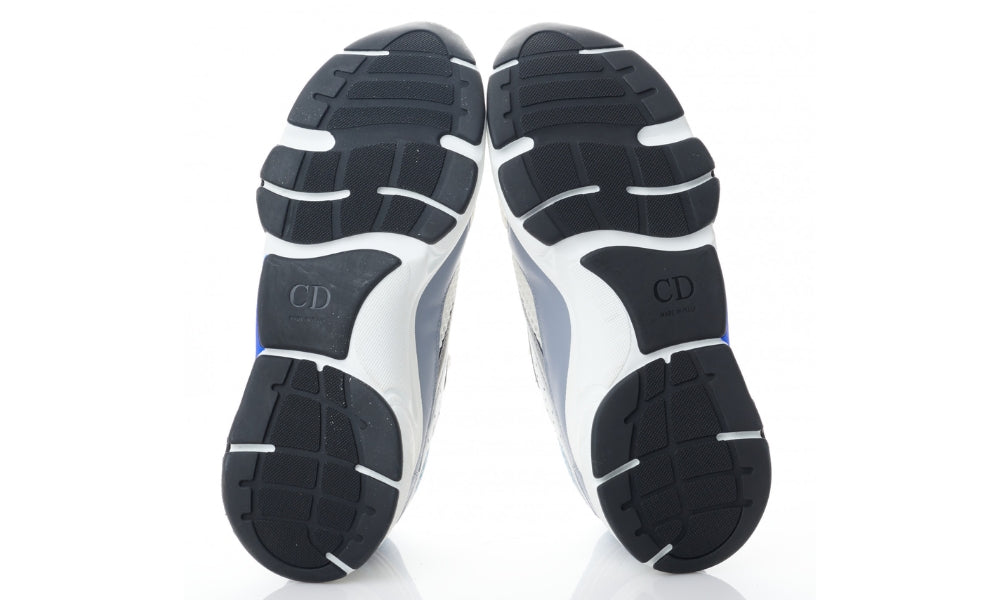 Dior B22 'White Blue'